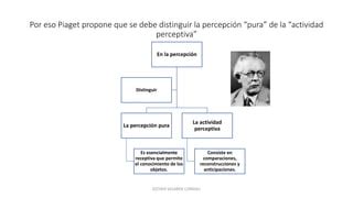 La Percepci N Ppt