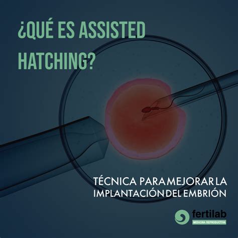 ¿qué Es Assisted Hatching Fertilab