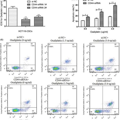 Knockdown Of Cd44 Inhibits Epithelial Mesenchymal Transition Emt In Download Scientific