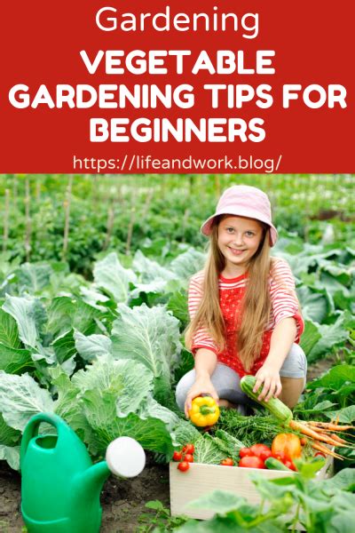 Vegetable Gardening Tips For Beginners