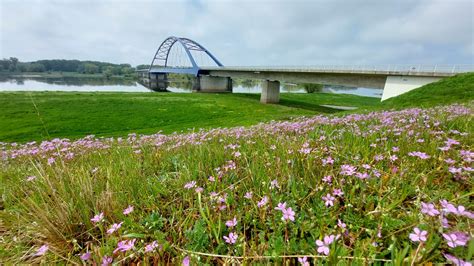 Dömitzer Elbebrücke Dömitz