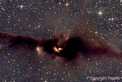 LDN 43 The Cosmic Bat Nebula Eduardo Rigoldi Fernandes AstroBin