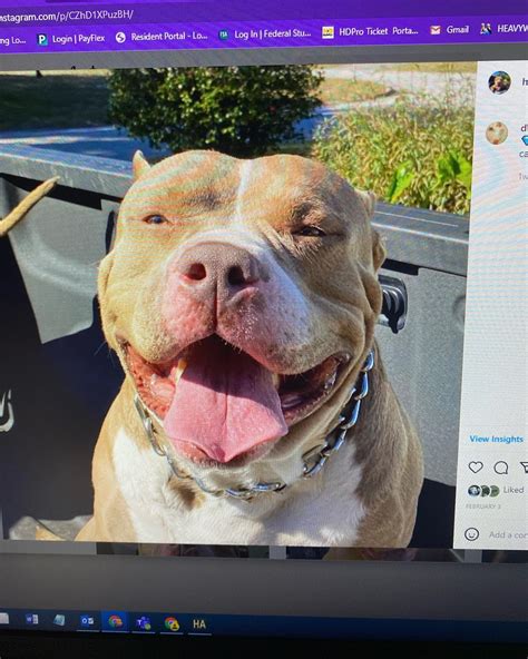 Kelly Carter (@heavyw8ightbully) • Instagram photos and videos