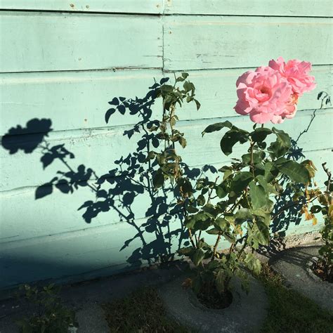 Sterling Art Services | We Care for Art