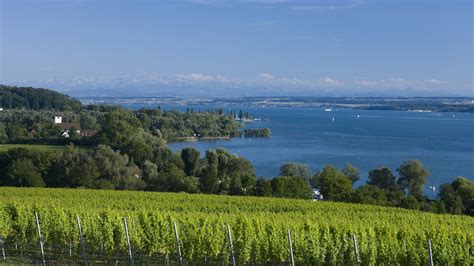 Flüsse und Seen Bodensee Bodensee Flüsse und Seen Natur Planet