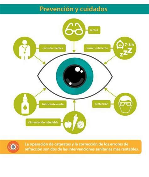 Prevención Y Cuidado De Tus Ojos Optica Y Optometria Anatomía Del