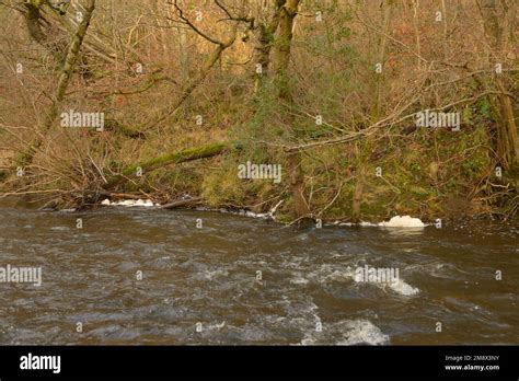 Pollution from agricultural runoff Stock Photo - Alamy