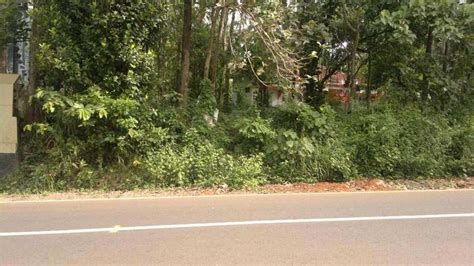 Residential Plot Cent For Sale In Chevayur Kozhikode Rei