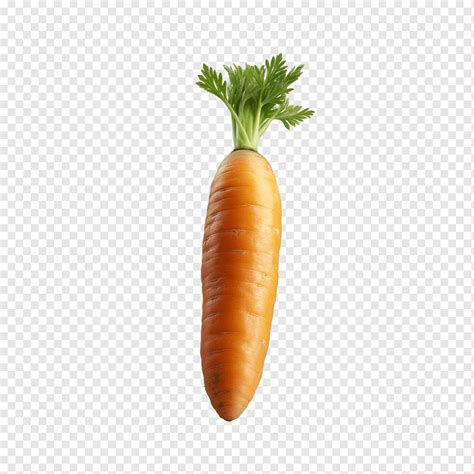 carrot png pngwing