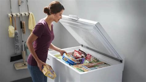 Best Deep Freezers in India (March 2024): Energy Efficient Commercial ...