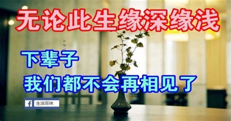 無論今生緣深緣淺，下輩子我們都不會再見了