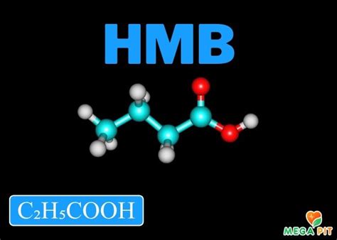 HMB | ХМБ Купить КАЗАХСТАН ᐈ Алматы | Астана | Караганда | Megapit.kz