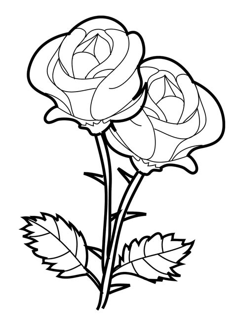 Dibujos De Rosas Para Dibujar