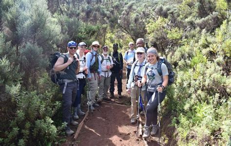 Mount Kilimanjaro Machame Day Hike Oserok Trips