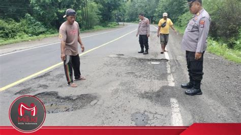 Jalur Pantura Situbondo Berlubang Bahayakan Pengguna Jalan