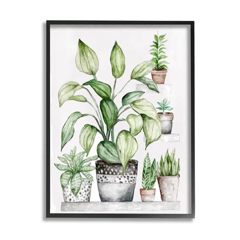 Stupell Industries Potted Plant Garden Botanicals Botanical Floral