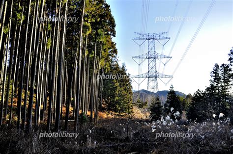 丹沢山地のシダンゴ山 山地を走る送電線鉄塔 新秦野線 写真素材 7006866 フォトライブラリー Photolibrary