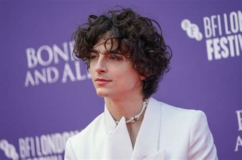 Timothée Chalamet Net Worth: Name, Age, Controversy, Career