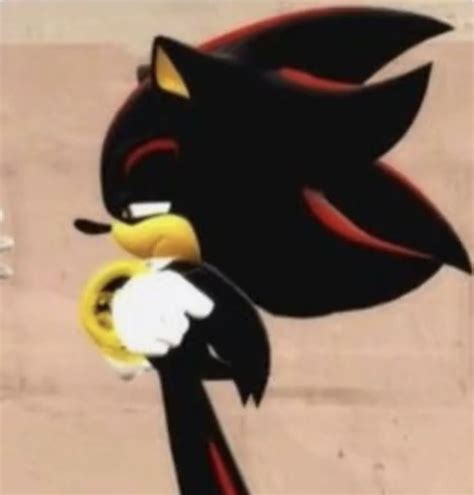 Cute Shadow And Rouge Matching PFP