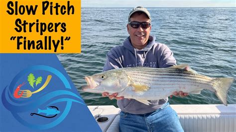 Slow Pitch Jigging Trolling For Striped Bass Stripers Barnegat To