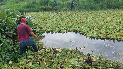 Realizan Trabajo De Limpieza En Quinel M S Noticias Televisi N