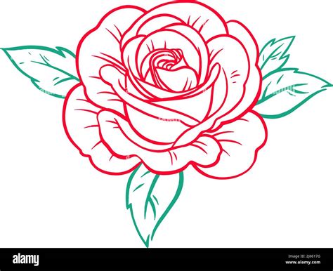 Beautiful Rose Flower Vector Illustration Stock Vector Image And Art Alamy