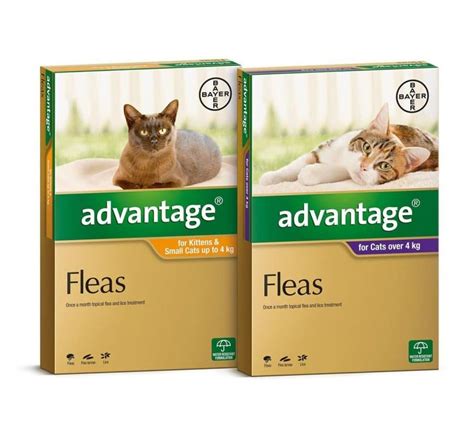 Bayer Advantage: Spot-on Flea Treatment for Cats in Kenya