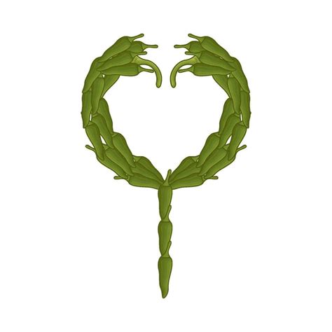 Hot Chili Love Illustration Vector Art At Vecteezy