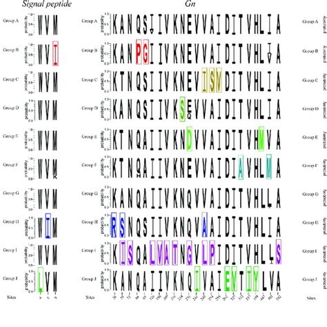 The Significant Amino Acid Marker Of Each Group The Specific Amino