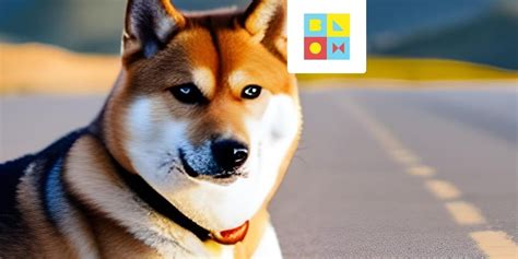 Shiba Inu Shib On Chain Activity Surges As Whales Move Millions