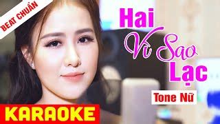 Karaoke Hai V Sao L C Tone N Beat Chu N Linh V Ho Ng Karaoke