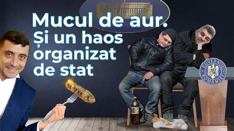 Cine Joac Ara La P C Nele Mic Rusofil Cu Mu Tar Candideaz