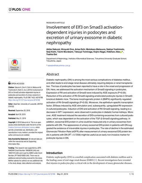 PDF Involvement Of Elf3 On Smad3 Activation Dependent Injuries In