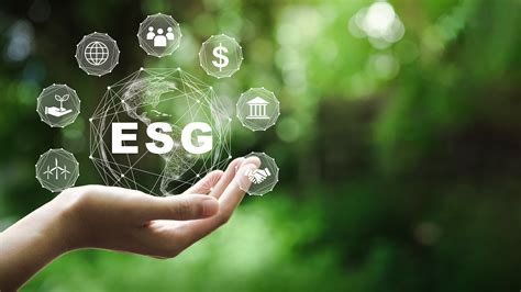 Why Your Esg Report Should Be Auditable