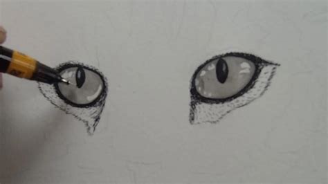 How To Draw Cat Eyes