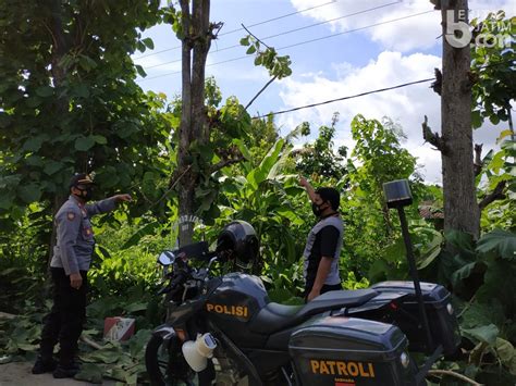 Hendak Potong Ranting Pohon Pria Di Ponorogo Tewas Tersengat Arus Listrik