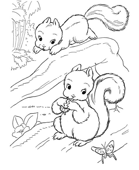 Forest Animals Coloring Pages - Coloring Home