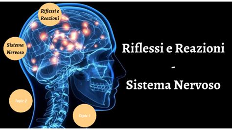 Riflessi E Reazioni Sistema Nervoso By Agnese Ortenzi On Prezi