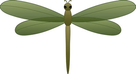 Green Dragonfly - Free Clip Art