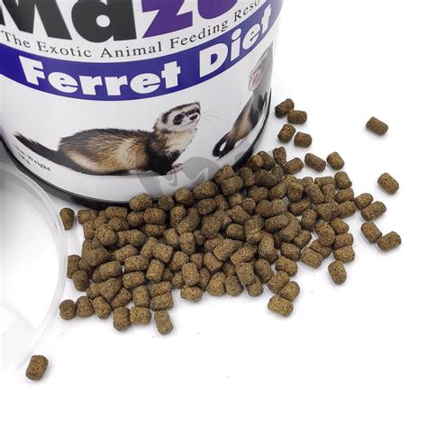 How Much Should You Feed A Ferret Pet Food Guide