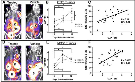 Granzyme B Pet Imaging Of Immune Mediated Tumor Killing As A Tool For