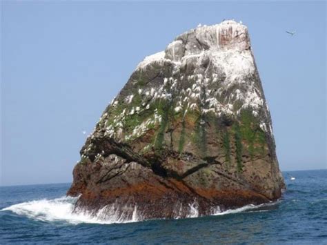 Rockall--A Tiny Island Claimed by Four Nations - Neatorama