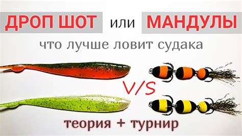 Ловля судака на МАНДУЛЫ или ДРОП ШОТ. Что лучше зимой? - YouTube