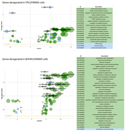 Bubble Plots Of Significantly Enriched Gene Ontology Go Terms For The