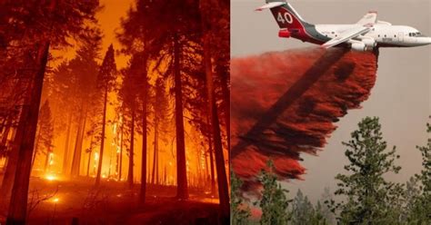 Caldor Wildfire Grows Times Its Size Forcing Thousands Of People