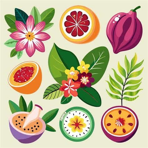 Una colección de frutas y verduras incluidas frutas y flores Vector