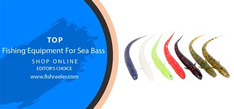 hooked  sea bass tools  tackle  landing  catch