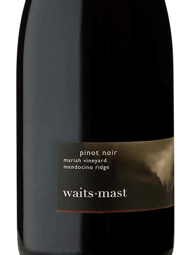 2018 Waits Mast Mariah Vineyard Pinot Noir Vivino US