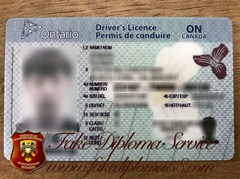 The Fastest Way To Get An Ontario Drivers License