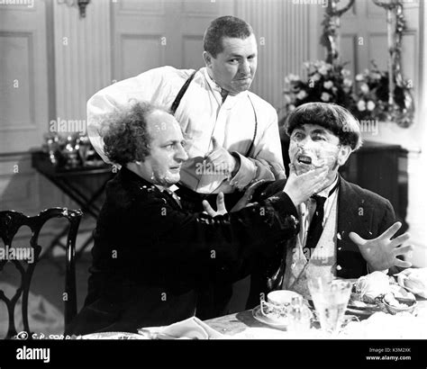 The Three Stooges Larry Fine Curly Howard Moe Howard American